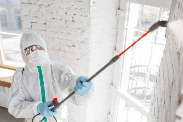 Best Post-Construction Mold Inspection  in Mount Wolf, PA