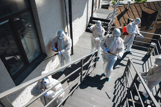 Mold Remediation for Rental Properties in Mount Wolf, PA